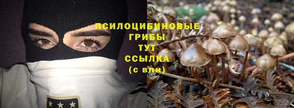 прущая мука Сосновый Бор