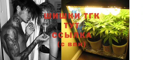 мдпв Вязники