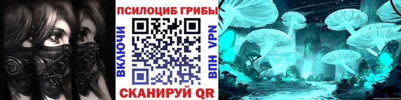 KRAKEN зеркало  Норильск  Псилоцибиновые грибы ЛСД 