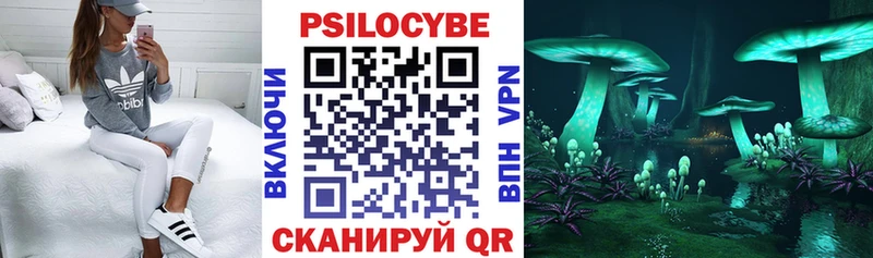 Галлюциногенные грибы GOLDEN TEACHER Норильск